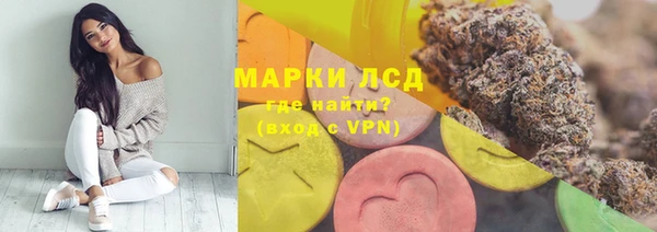 ПСИЛОЦИБИНОВЫЕ ГРИБЫ Алексеевка
