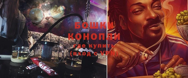 ПСИЛОЦИБИНОВЫЕ ГРИБЫ Алексеевка