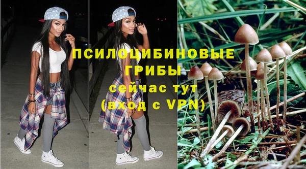 ПСИЛОЦИБИНОВЫЕ ГРИБЫ Алексеевка